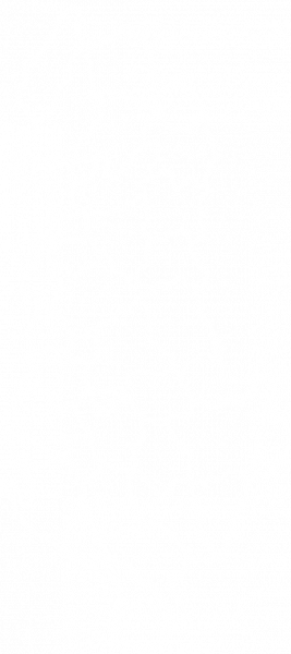 Albania_districts_blank-white